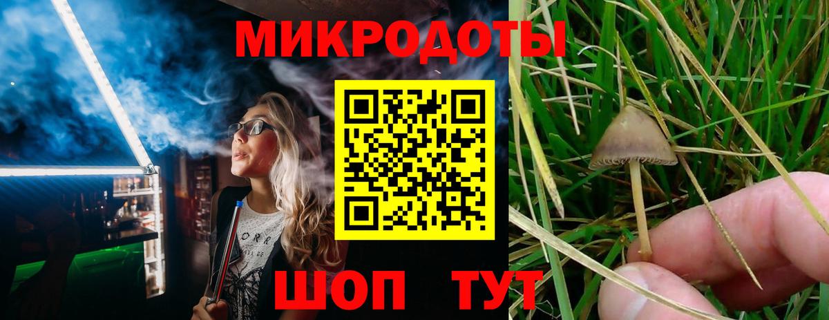 Галлюциногенные грибы Cubensis  Вход с VPN  Псилоцибиновые грибы прущие грибы  Верхняя Салда 